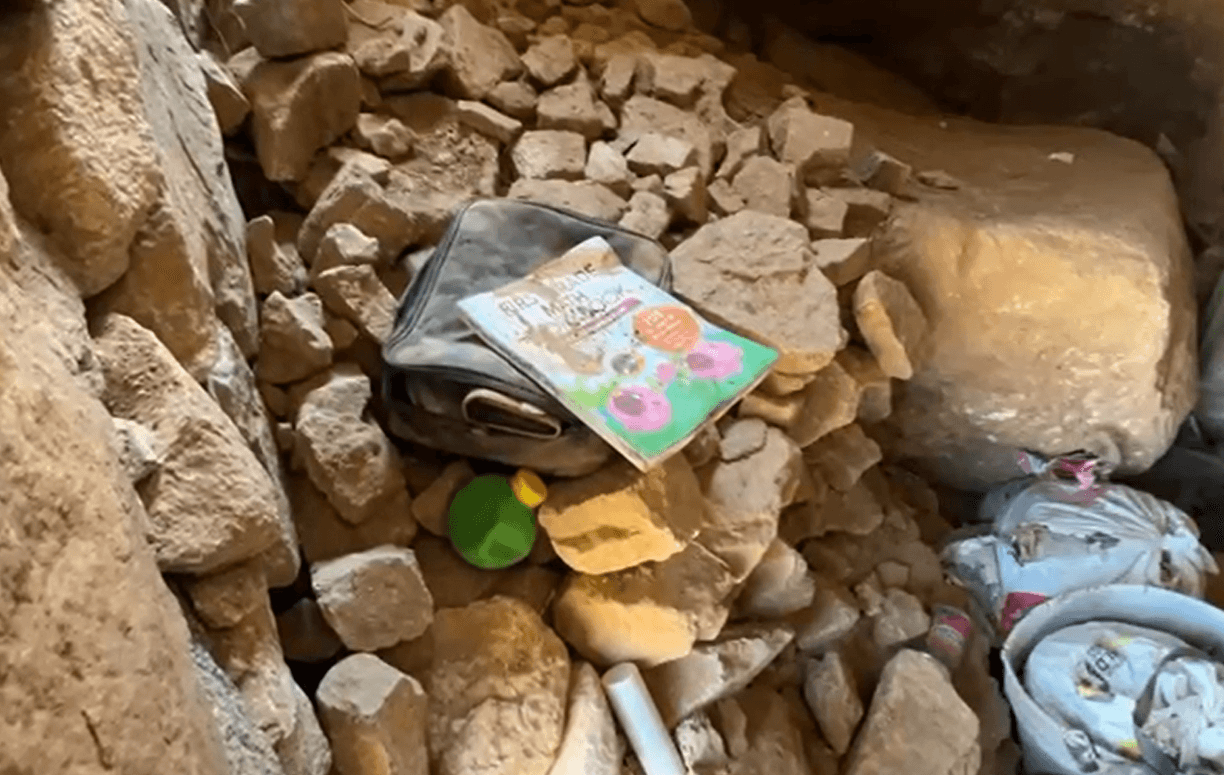 Dentro de una pequeña mochila estaba 
<b>un colorido libro</b>.