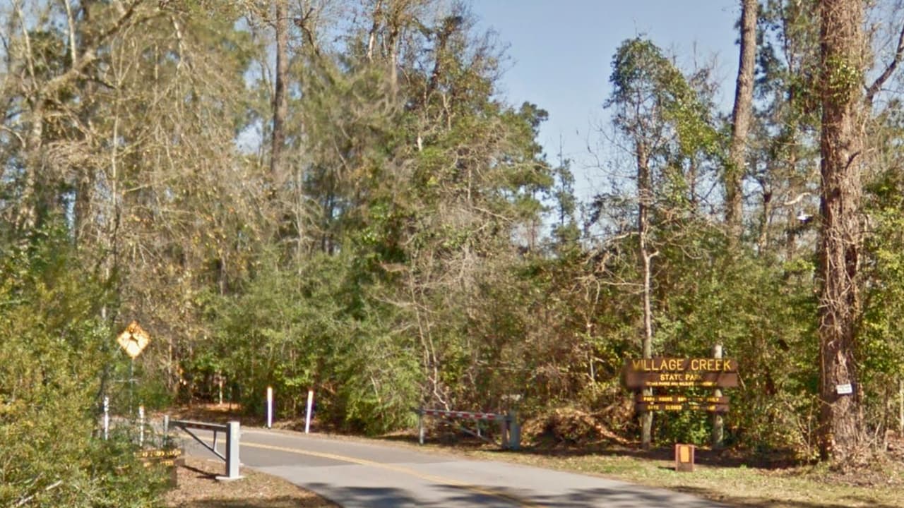 Para poder visitar este parque, o cualquier otro del sistema de parques estatales en Texas, se debe hacer una reservación en la
<a href="https://texasstateparks.reserveamerica.com/camping/village-creek-state-park/r/facilityDetails.do?contractCode=TX&parkId=1200086&_ga=2.226737813.903982375.1592252945-735184497.1586197739" target="_blank">página web</a> o llamando al: 512-389-8900. El costo de la entrada es de 4 dólares por persona, pero los niños menores de 12 años no pagan.
<br>