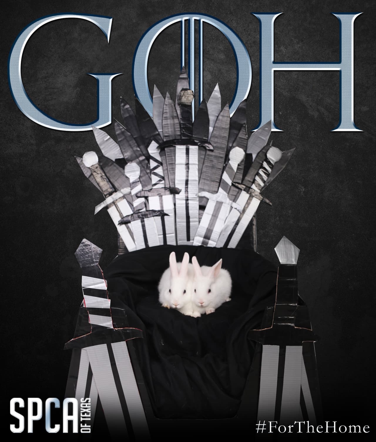 Las dirreciones de los refugios: 2400 Lone Star Drive y el segundo en McKinney en la cuadra 8411 Stacy Road. 
<br>