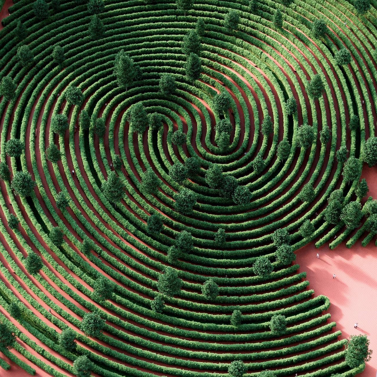 Los visitantes ingresarán a uno de los senderos del parque, seguirán avanzando hasta el centro y, desde allí, continuarán circulando hacia afuera hasta salir del recinto en un viaje individual de unos veinte minutos, según este proyecto.
<br>