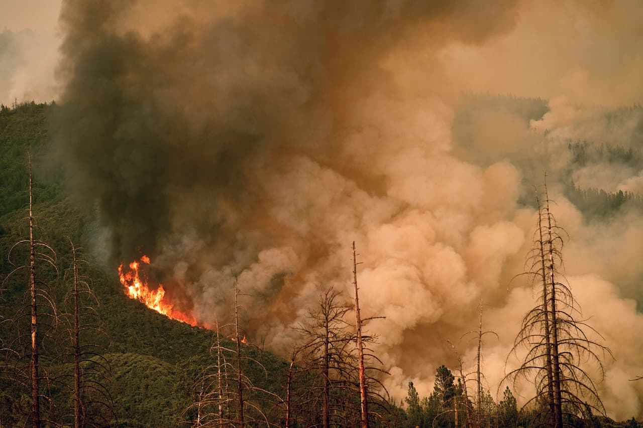 El incendio de Ferguson ha quemado 49,619 acres en Merced River Canyon, casi 3,000 acres más que el viernes. El fuego ha sido contenido en un 29% este sábado, según el Departamento de Protección contra Incendios de California.