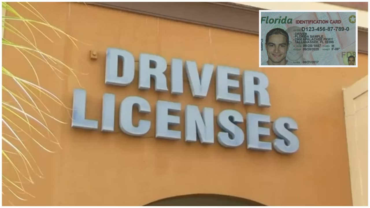 Proyecto de ley en Florida busca que conductores no ciudadanos tengan una marca en su licencia