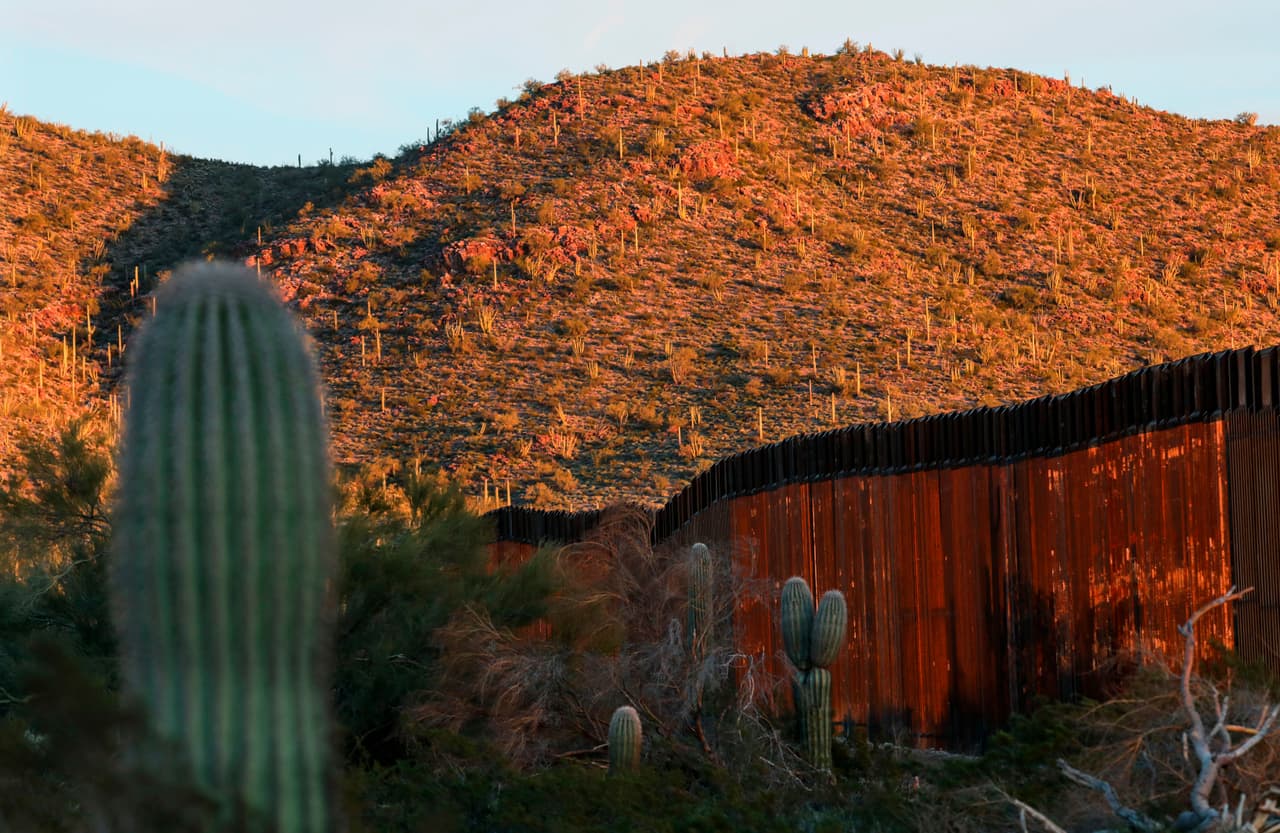 Para la construcción del muro fronterizo las autoridades federales afirmaron que se movieron menos del 10% de los cactus de la zona en Organ Pipe.