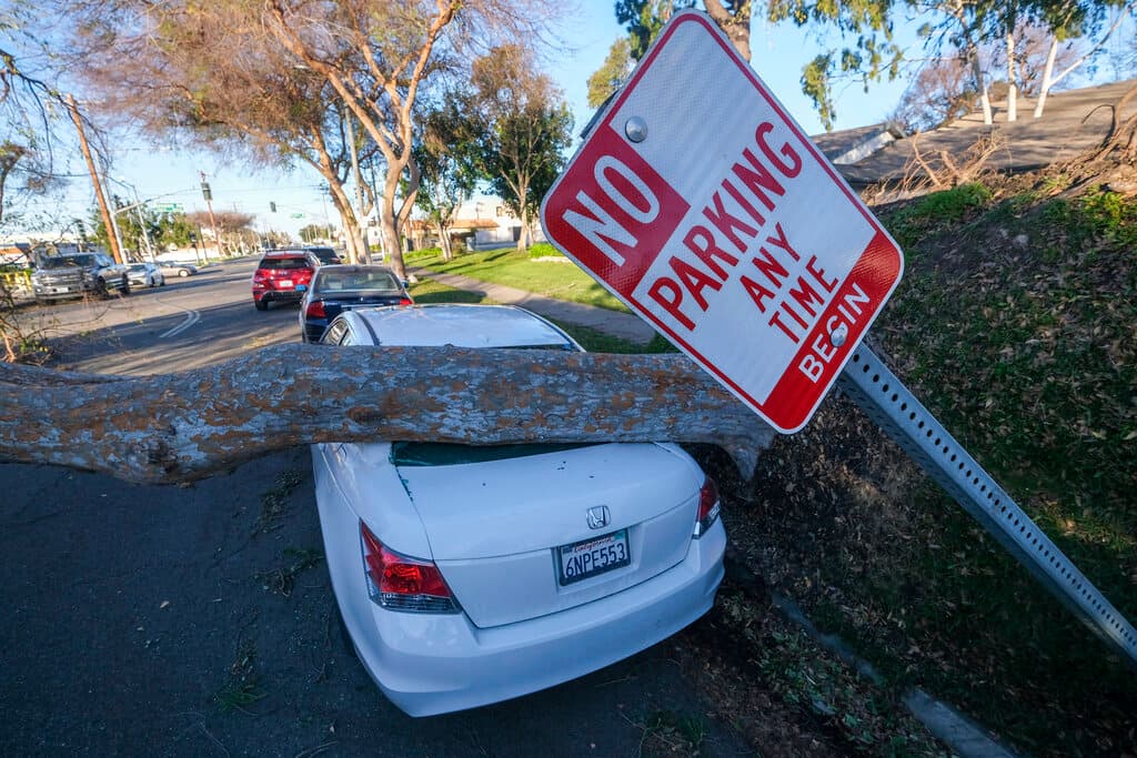 ¿Más vientos fuera de temporada? Experta explica que tiene que ver el fenómeno de El Niño