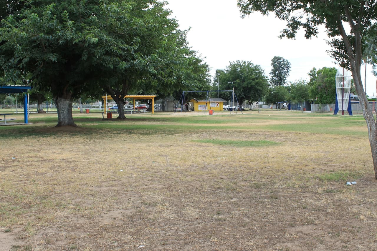 <b>El parque Calwa, ubicado en el condado de Fresno, contempla una renovación completa de este</b>, la que incluye la construcción de tres parques infantiles, áreas para caminar, cinco áreas de picnic y barbacoa. Además, la iniciativa contempla un sector de gimnasio al aire libre, iluminación y paisajismo en todo el parque. 
<br>La organización Fresno Building Healthy Communities se adjudicó $6,651,185 para concretar este parque.