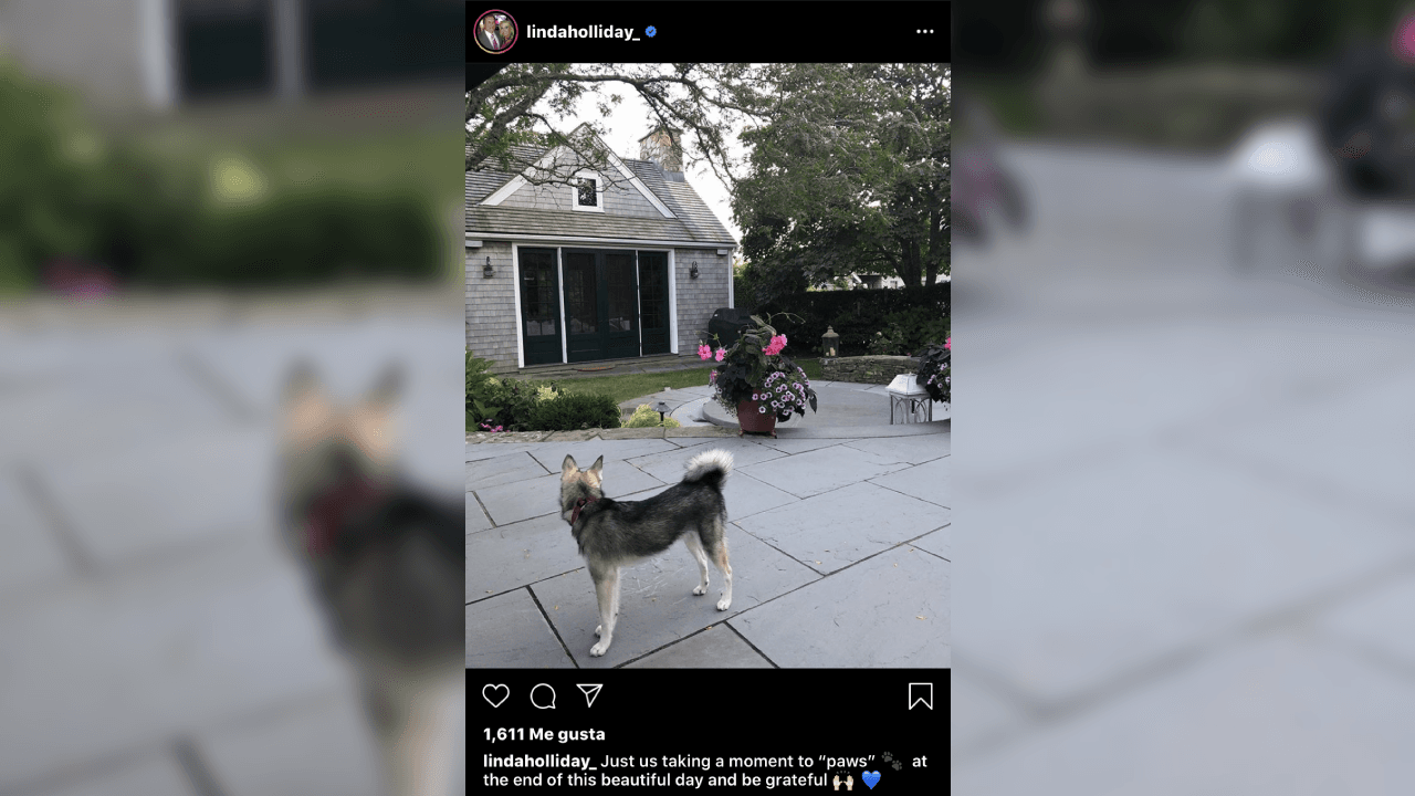 En la cuenta de la red social de Instagram Linda, ha subido fotografías de su amada mascota. ¡Él es Nike!