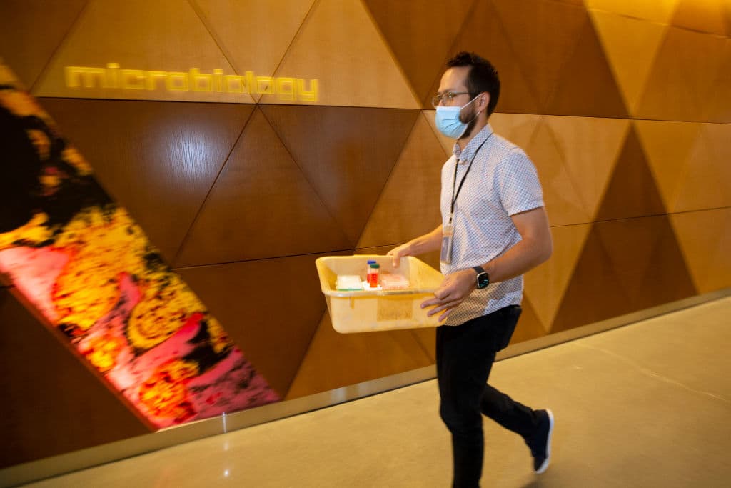 <a href="https://www.univision.com/temas/puerto-rico">Puerto Rico</a> está listo y ansioso por recibir el primer cargamento de vacunas contra el covid-19, el cual podría suceder esta misma semana, según el general de la Guardia Nacional José Reyes. Y, entonces,
<b> entre el <a href="https://cnnespanol.cnn.com/2020/12/04/si-ee-uu-aprueba-una-vacuna-gobierno-de-puerto-rico-dice-que-esta-listo-para-aplicarla-desde-mediados-de-diciembre/" target="_blank">15 y 16 de diciembre</a> se estarán administrando las primeras vacunas. </b>
<br>