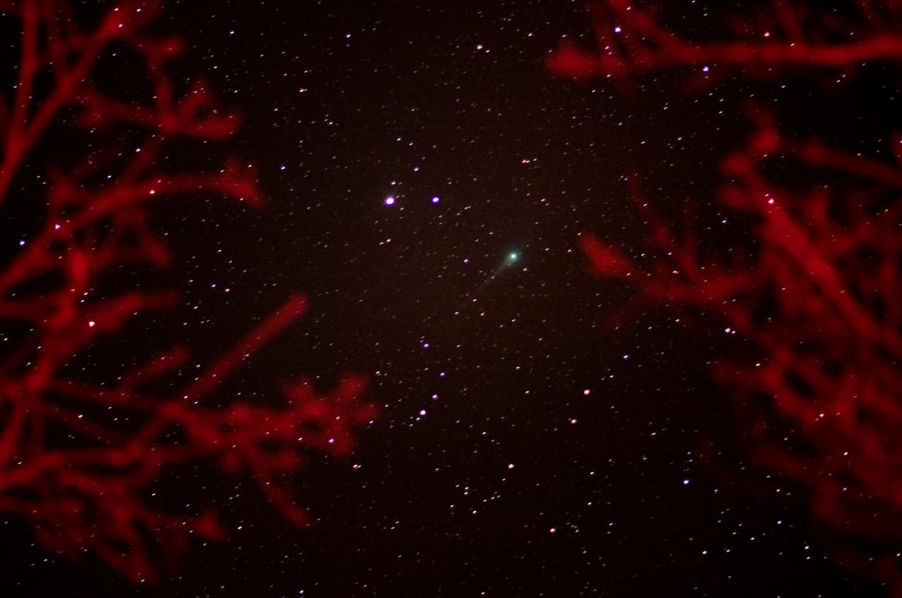 <b>El cometa Lulin (centro a la derecha) se ve a través de los árboles en el Parque Nacional Shenandoah el 23 de febrero de 2009</b> en Luray, Virginia, mientras estaba en su punto más cercano a la Tierra.