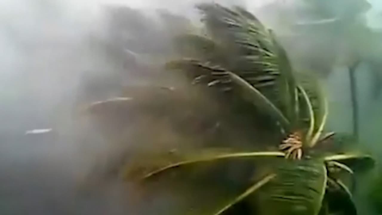 Poderoso ciclón golpea Asia: la frenética evacuación de millones de personas en medio de la pandemia