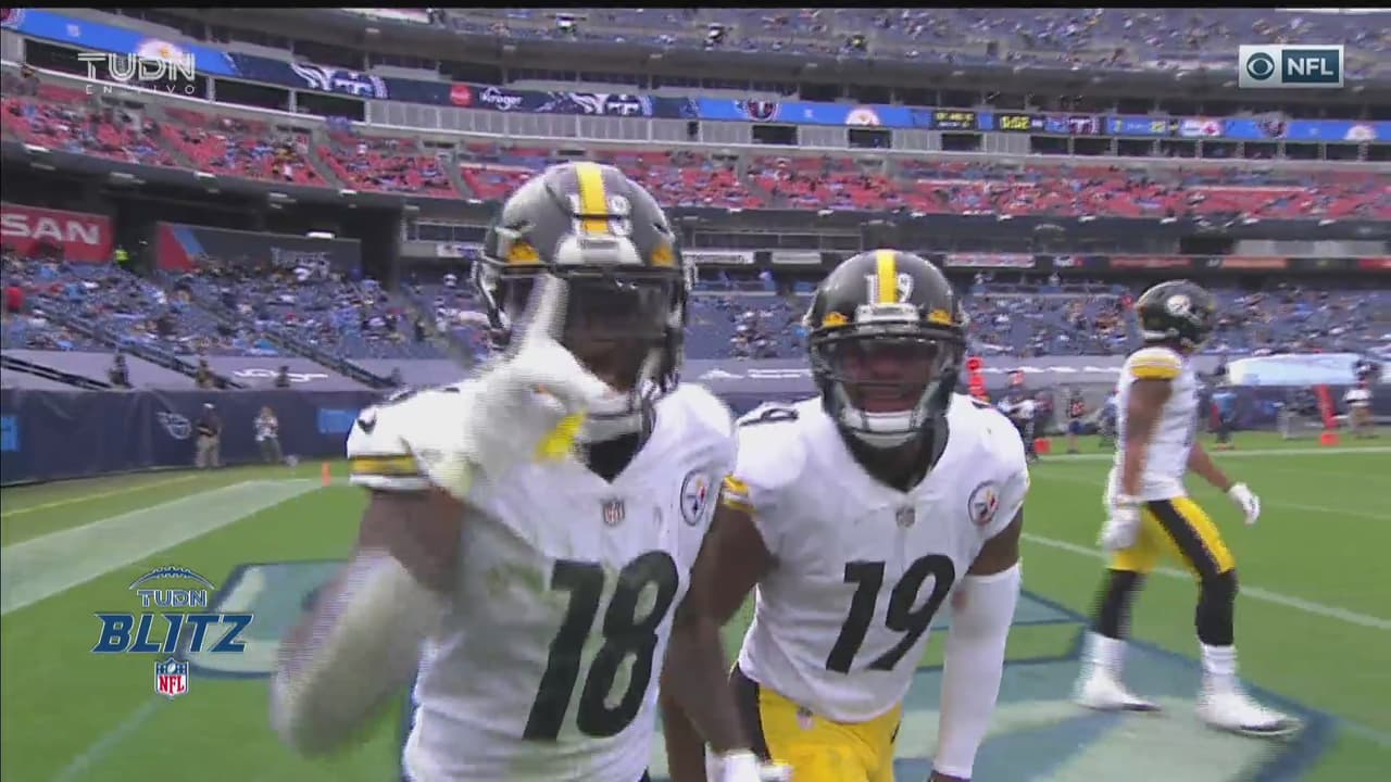 Duro castigo para jugador de la NFL tras golpear a un fan