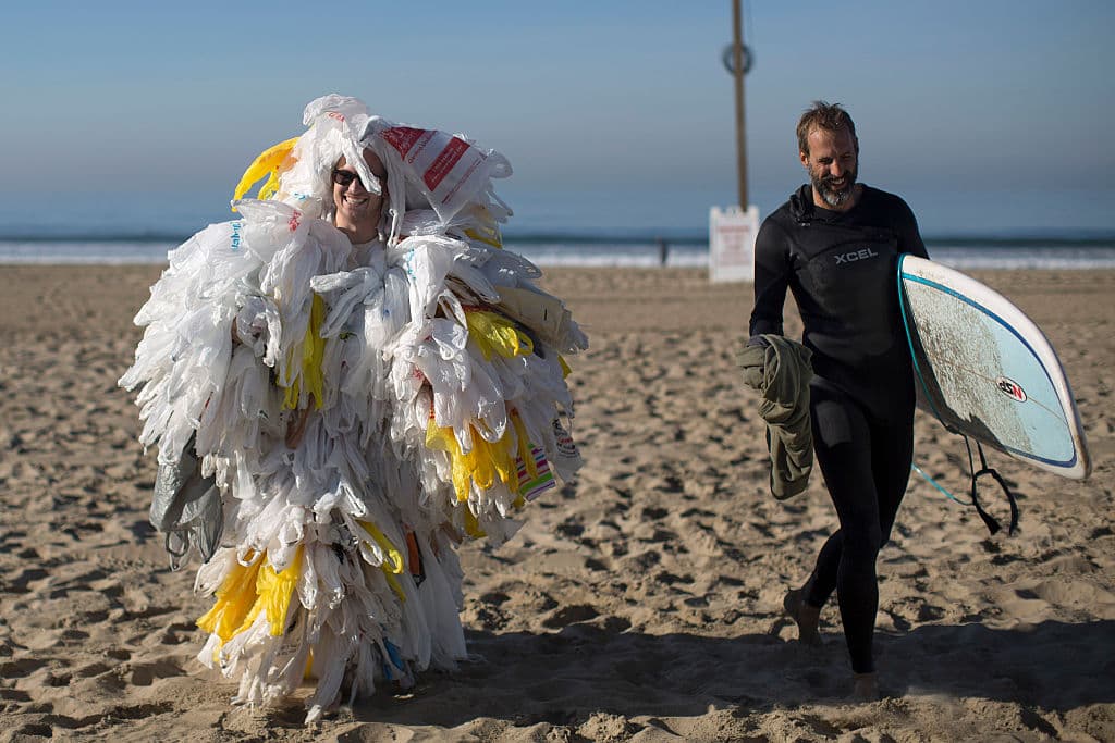 Estos son los resultados de las 5 enmiendas ambientales votadas este martes en EEUU
