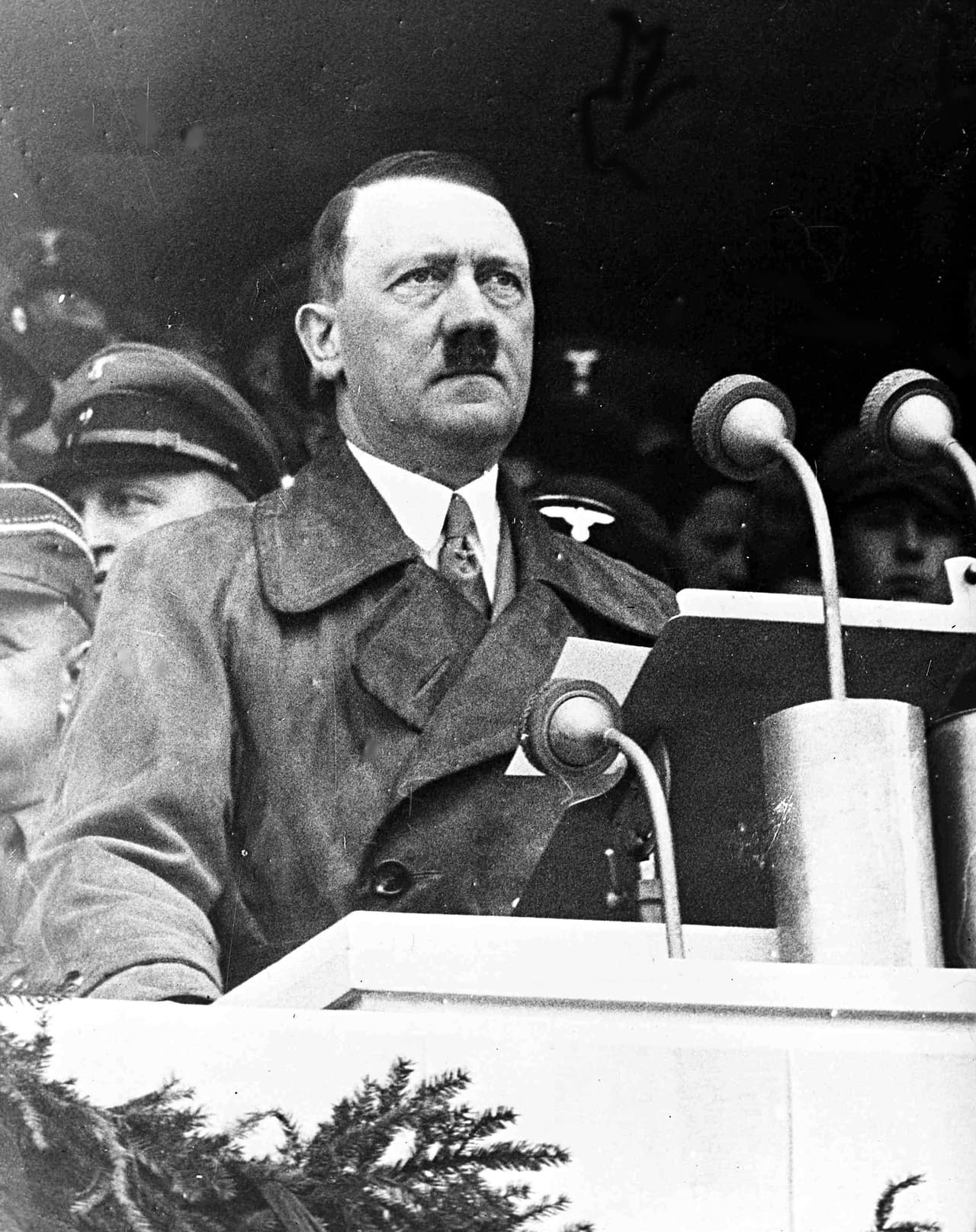 8 "similitudes preocupantes" entre la Alemania de Hitler y el EEUU de Trump, según un reconocido historiador