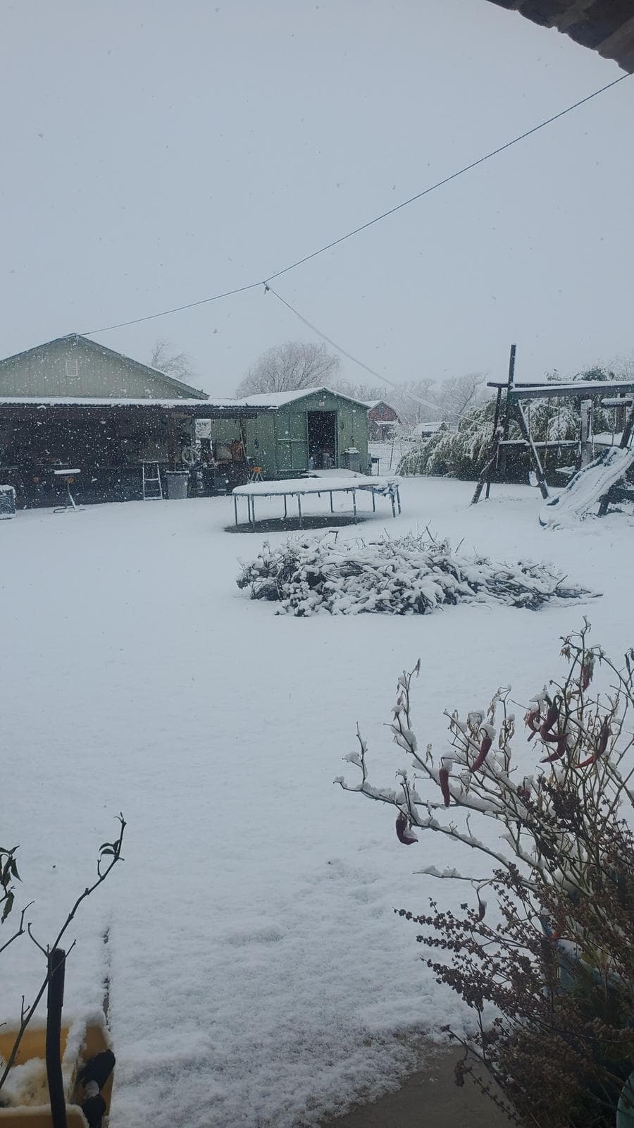 Así luce el patio de esta casa en Alvarado.
<br>