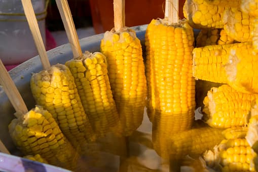 El parque Copernicus en San Antonio se tornará amarillo el próximo marzo cuando se celebre el festival masivo de elotes.