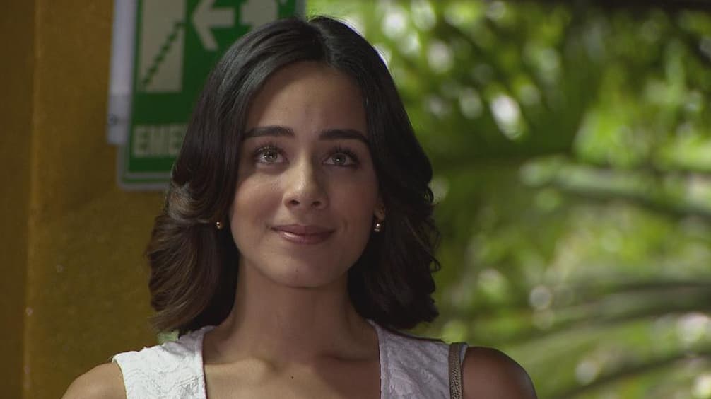 Pues se enamoraron de una manera poco usual.