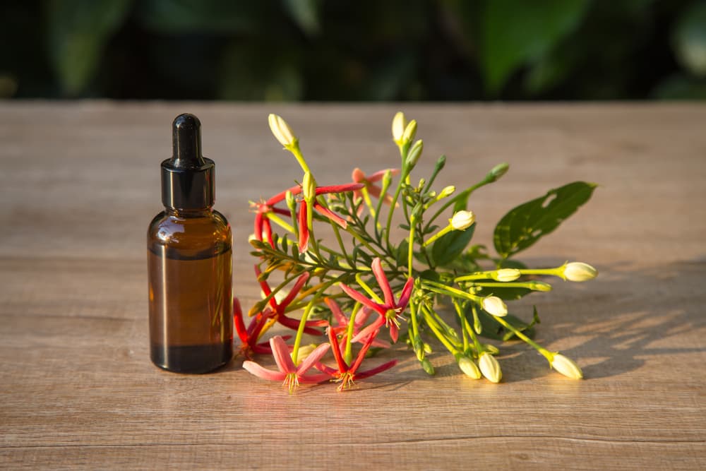 Su esencia o aceite fortalece además la mente y la memoria. Despierta el séptimo chacra, atrayendo agudeza psíquica. Si frotamos flores en nuestras sienes, supuestamente también nos dará buenos sueños y claridad mental.