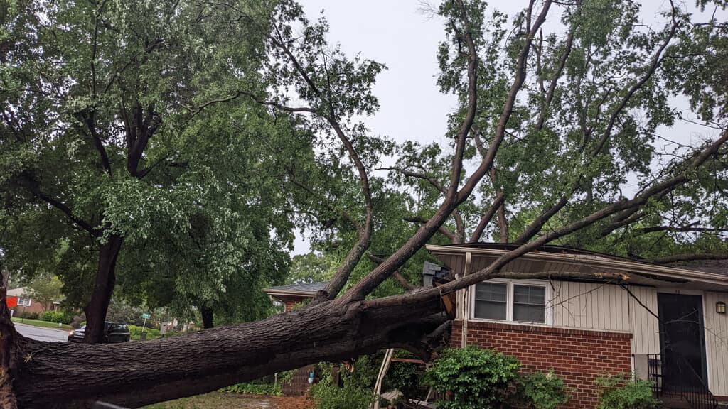 Otra casa en Hamilton Road, en Chapel Hill, sufrió daños por un árbol.