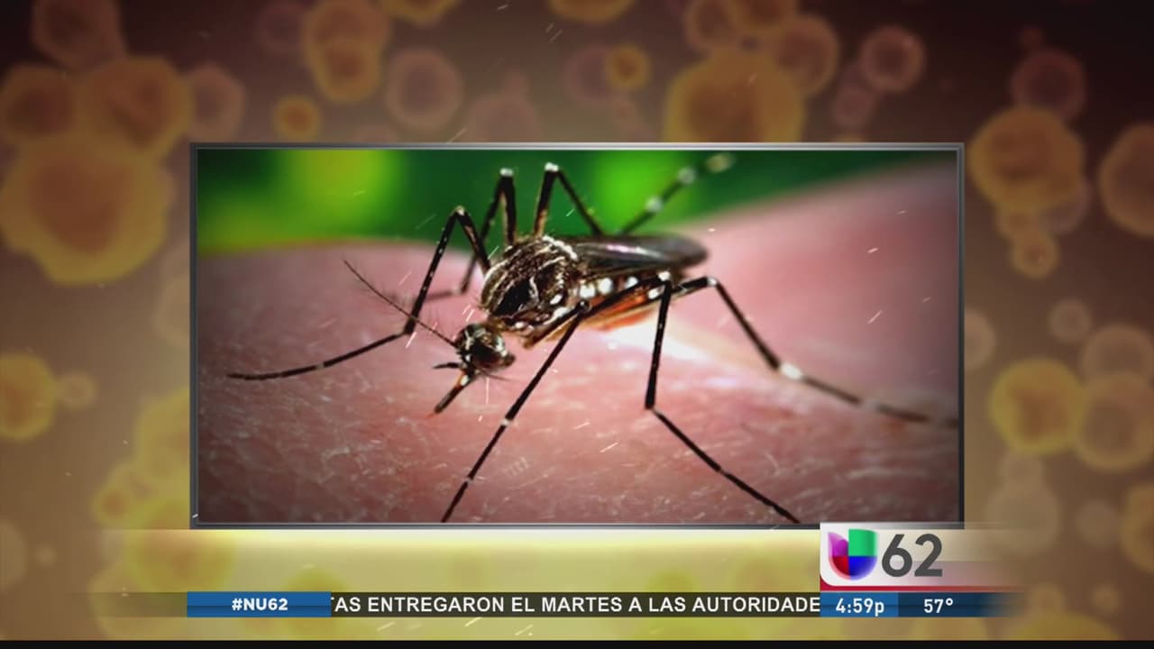 Confirman primer caso de zika en el condado Travis