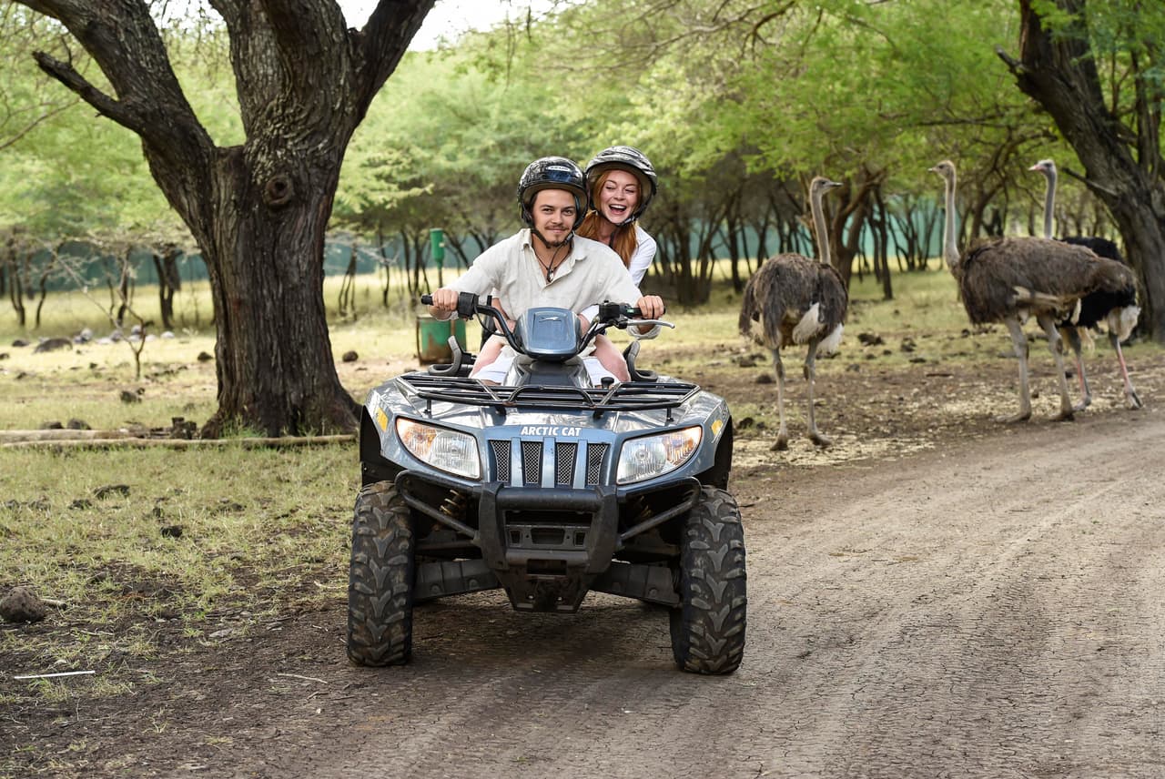 Egor y Lindsay pasaron junto a varios avestruces.