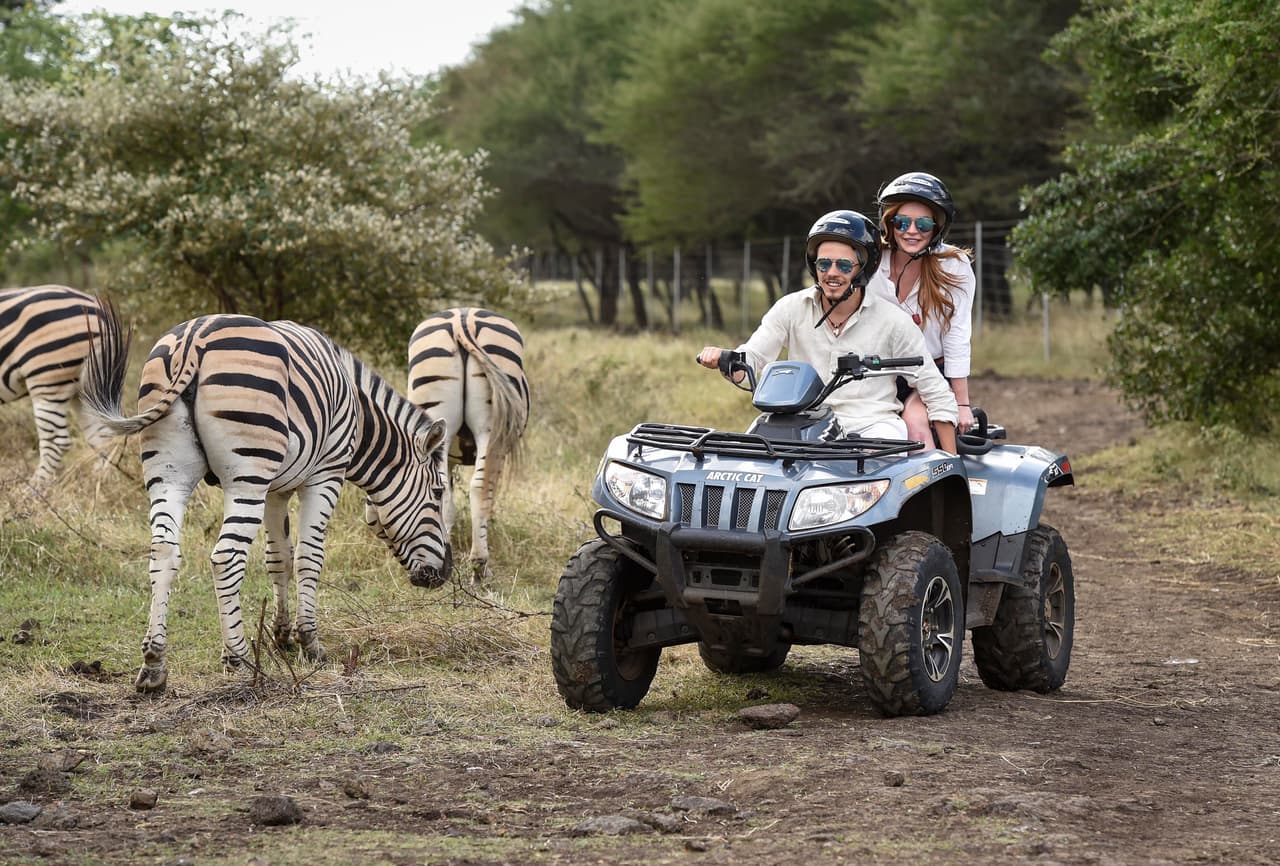 Convivieron con cebras.