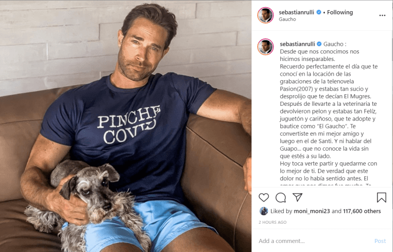 Cuando su mascota murió, le dejó un sentido mensaje: “Gaucho: Desde que nos conocimos nos hicimos inseparables. Recuerdo perfectamente el día que te conocí en la locación de las grabaciones de la telenovela 'Pasión' (2007) y estabas tan sucio y desprolijo que te decían 'El Mugres'”.