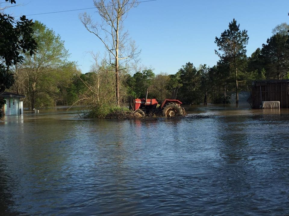 Nunca intente cruzar corrientes de agua o conducir a través de caminos inundados y siempre tenga en cuenta las barricadas colocadas por carretera para su protección.