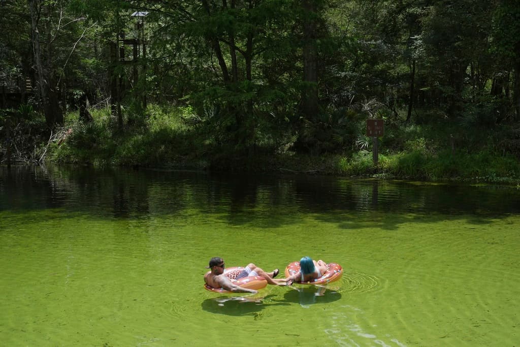 Florida azul en peligro: casi todos sus manantiales están contaminados