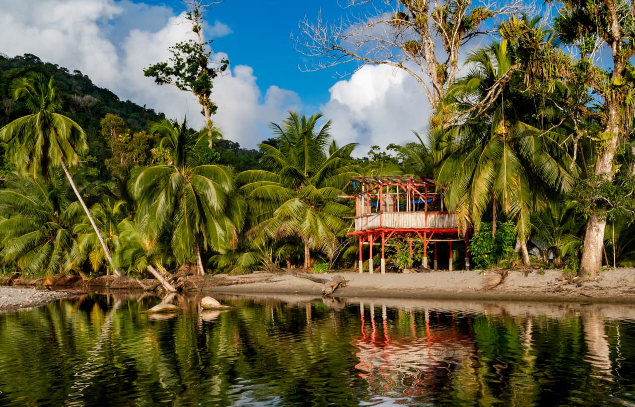 <h3 class="cms-H3-H3">Trinidad y Tobago</h3>
<br>
<b>Categoría:</b> Familia
<br>
<br>Los turistas pueden ayudar a salvar a las tortugas en Trinidad y Tobago, una de las colonias de tortugas laúd más importantes del mundo.