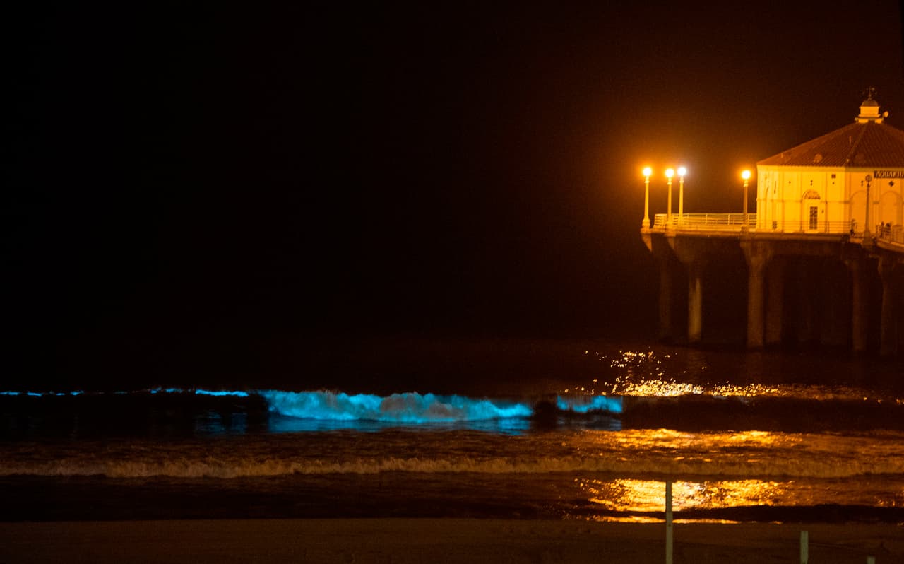 Aunque la mayoría de las mareas rojas y los efectos de bioluminiscencia son naturales, "existen preocupaciones en la comunidad científica debido al aumento en la cantidad de floraciones que ocurren anualmente.
<b>Floraciones de fitoplancton (algunas de estas tóxicas) están ocurriendo en partes del mundo donde nunca antes habían ocurrido.</b> La actividad humana ha aumentado la cantidad de nutrientes que ingresan a nuestras aguas costeras, y pudiera estar relacionada con el aumento del número de mareas rojas", según el UCSD.