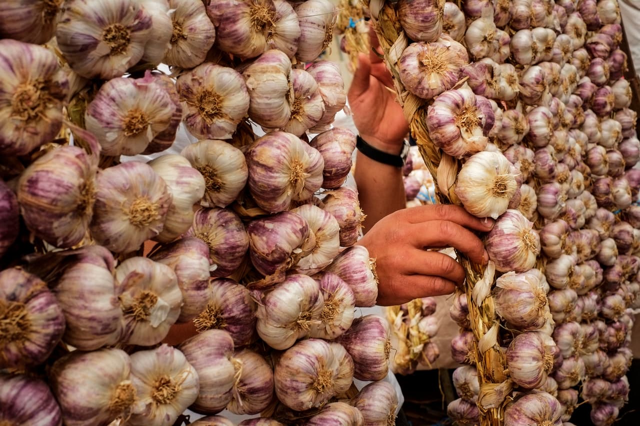 <b>El ajo</b>
<br>
<br>Es un excelente aliado contra la tensión alta, que puede incorporarse a la dieta cotidiana sin inconvenientes. Sus componentes principales, el ajoeno y la alicina, dilatan las arterias y contribuyen a disminuir el colesterol en sangre, haciendo más fluido el paso de la sangre y requiriendo menos presión cardíaca. Se estima que deberíamos comer de uno a dos dientes de ajo diarios.