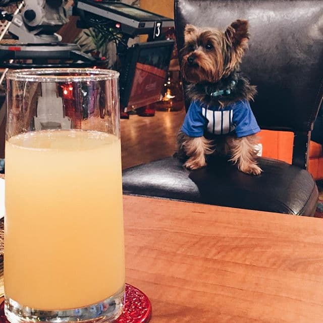 Toby está listísimo para comenzar la transmisión desde la casita más feliz de la televisión.