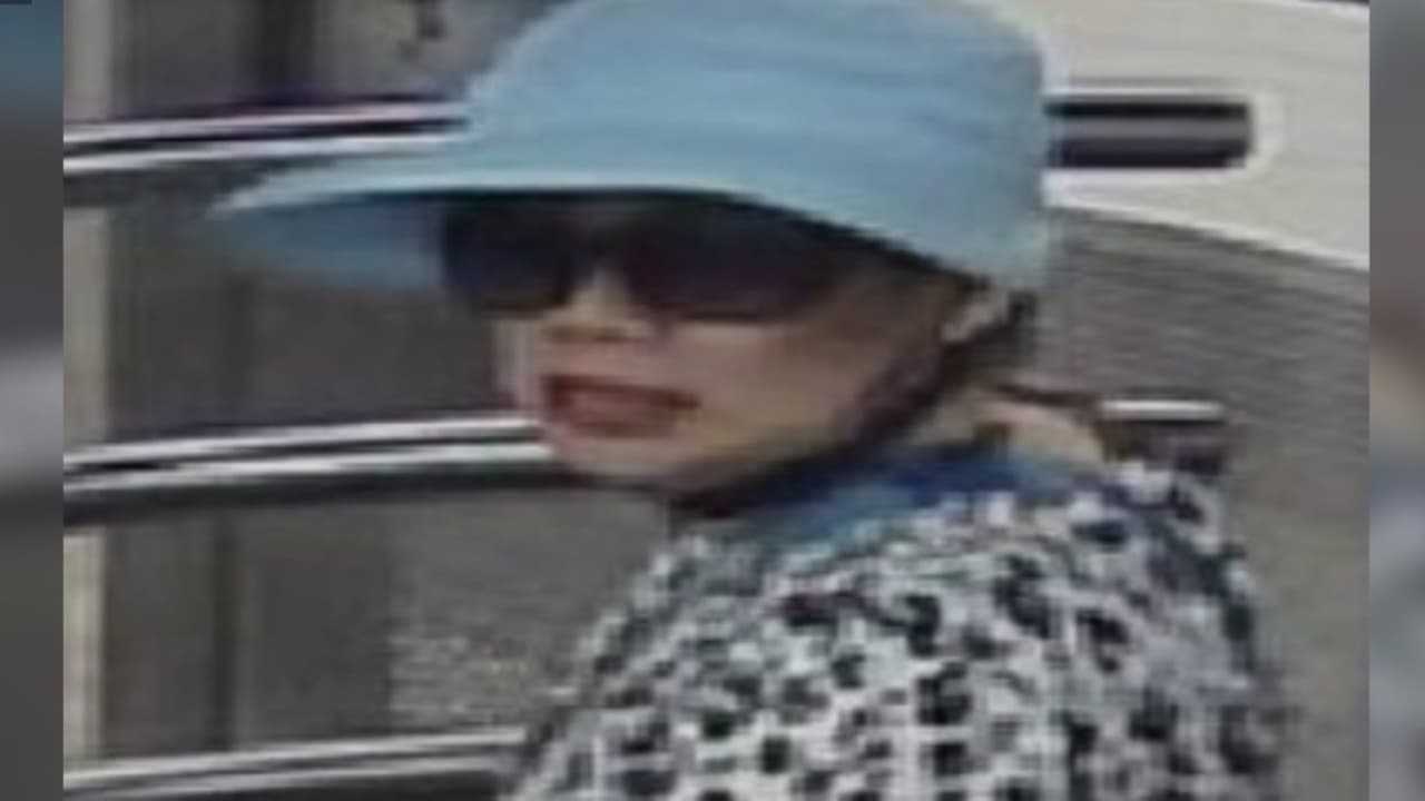 ¿La reconoces? Buscan a sospechosa de intentar secuestrar a una niña en estación del subway