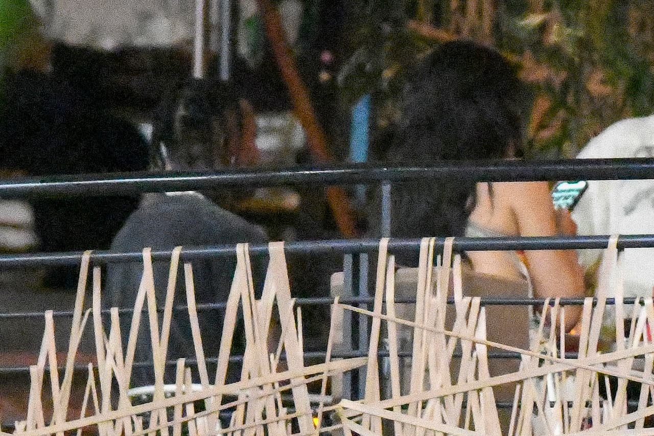 Pero este fin de semana, las alertas se encendieron de nueva cuenta luego de que ambos fueron fotografiados en Miami. 
<br>