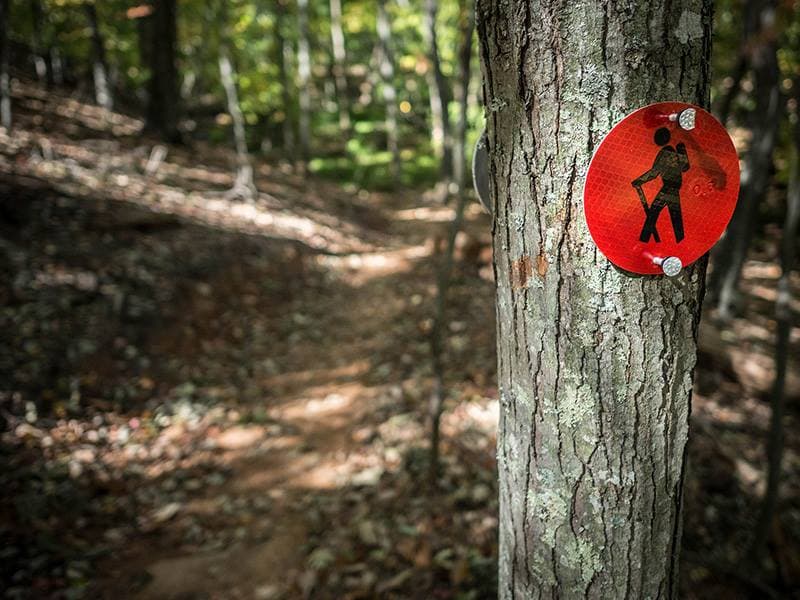Los excursionistas y ciclistas de montaña también pueden disfrutar de una extensa red de senderos que varían en dificultad y cuentan con hermosas vistas del lago circundante. Los principiantes y los excursionistas con niños querrán visitar los senderos Alder y Dragonfly, mientras que los excursionistas más experimentados pueden tomar el sendero Lake Shore o el sendero Itusi, que presenta ocho circuitos diferentes que varían en distancia desde una milla hasta casi diez millas.