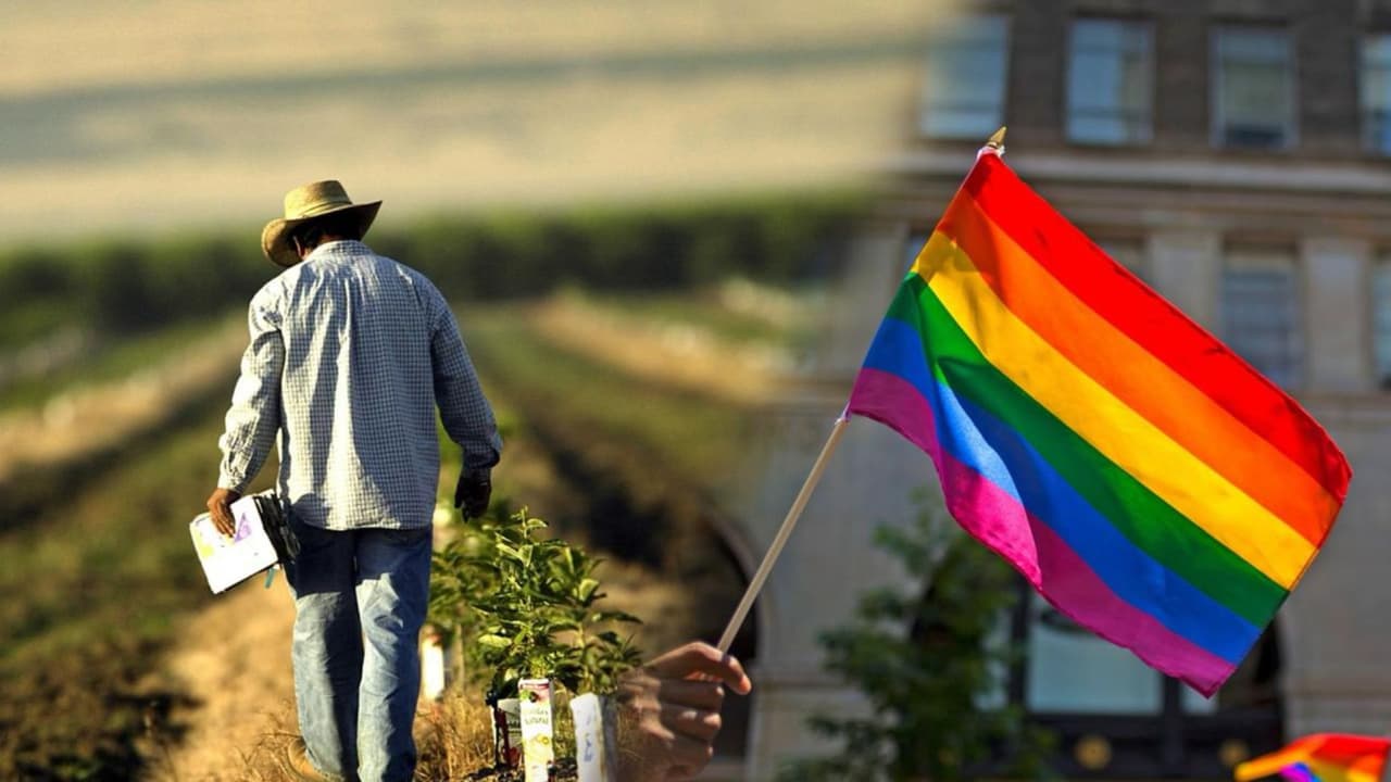 Cosechando tolerancia: Los desafíos de la comunidad LGBTQ en zonas rurales