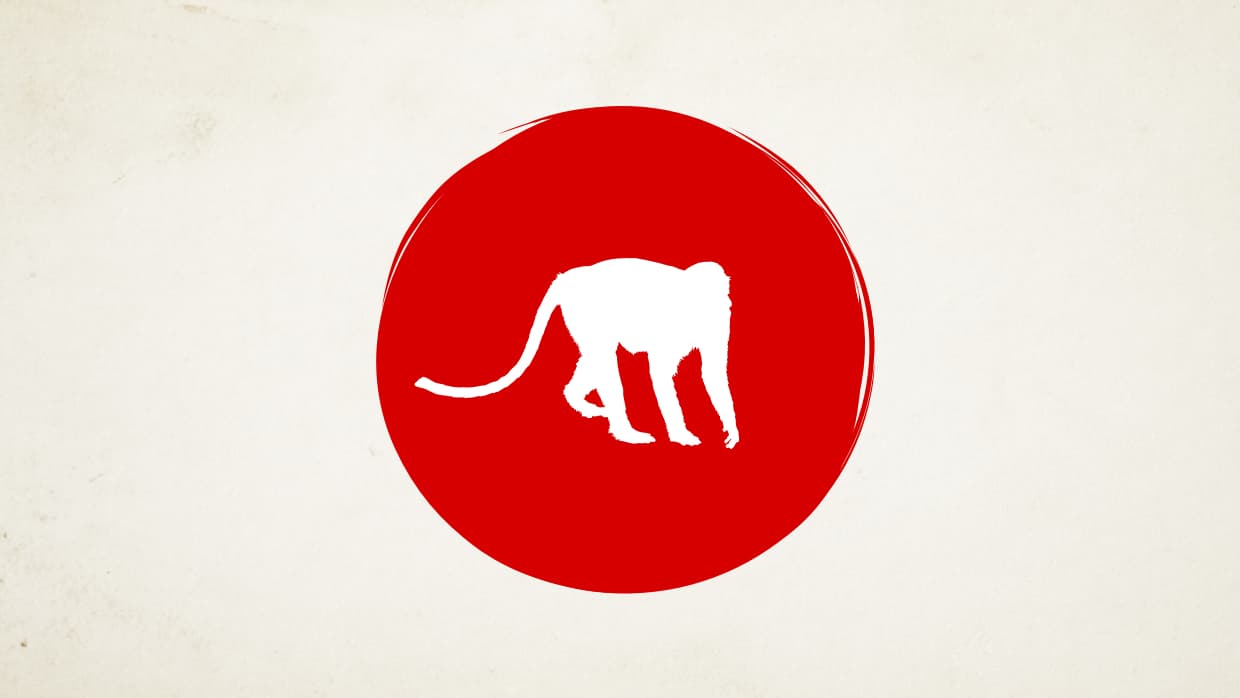 Son personas usualmente muy alegres, sonrientes, con un gran sentido del humor, a veces un tanto ácido o negro, sarcástico, que puede llegar a molestar a quienes lo rodean cuando no entienden sus intenciones o personalidad.