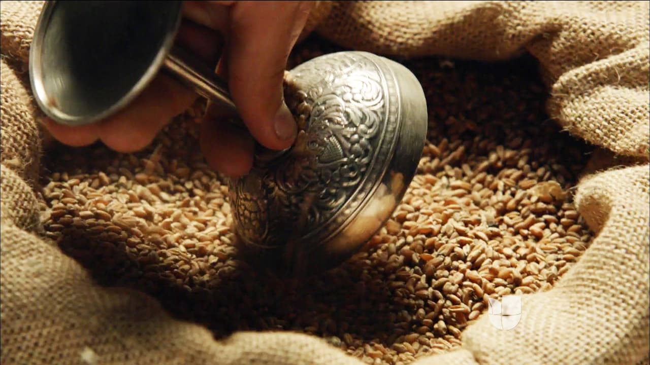 Para descubrir si habían cambiado con el tiempo y saber hasta dónde llegarían por salvar a uno de los suyos, José ordenó colocar una copa de plata en las pertenencias de Benjamín para acusarlo de robo.