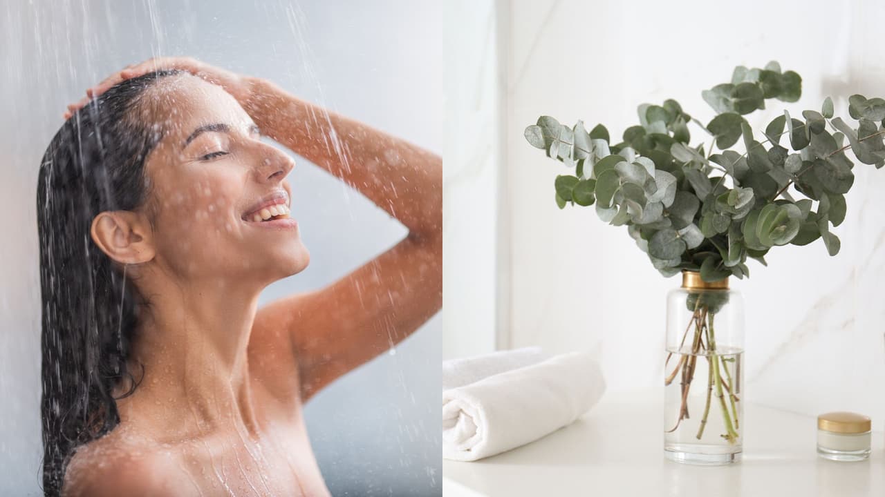 Eucalipto en la ducha: truco para colgar y aprovechar sus propiedades medicinales y de relajación