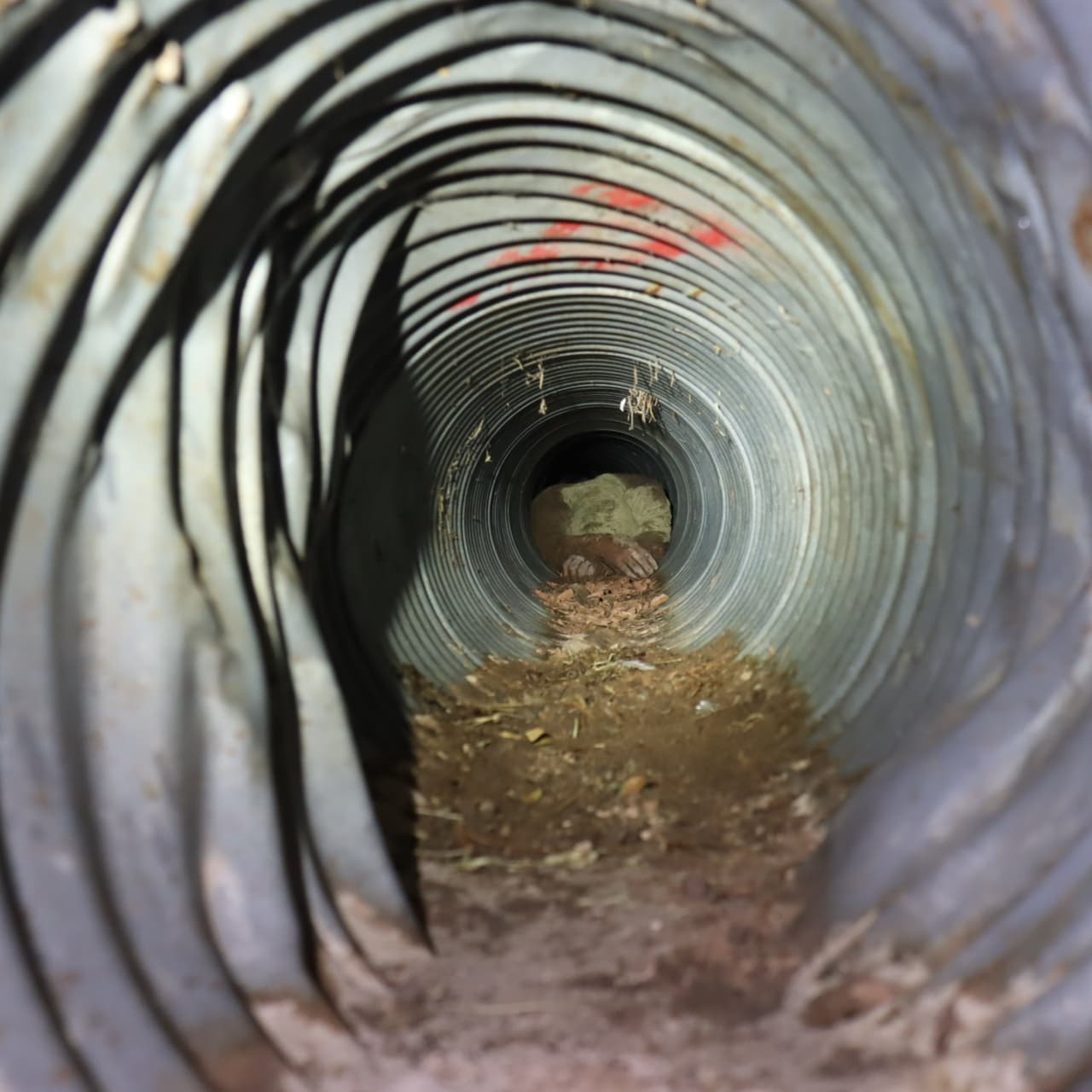 Dos inmigrantes que se escondían en un tubo de drenaje se quedaron atrapados la semana pasada.