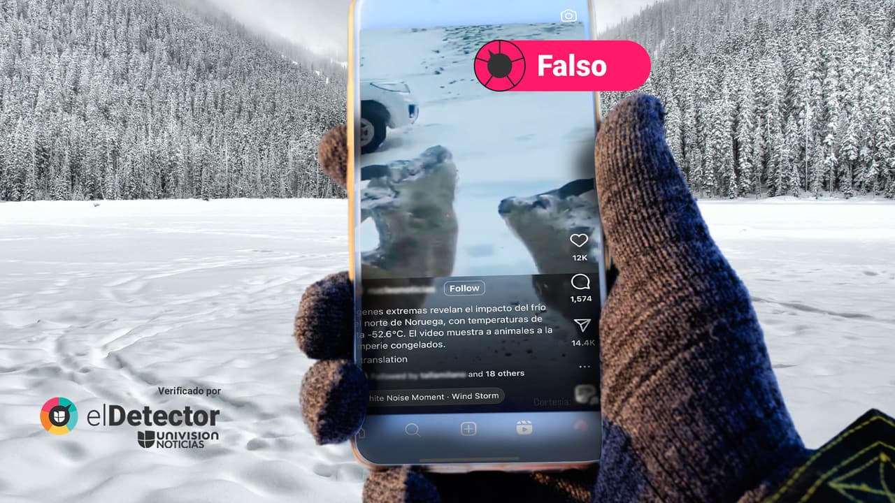 Esos animales no quedaron congelados por "temperaturas de hasta -52.6 °C" en Noruega