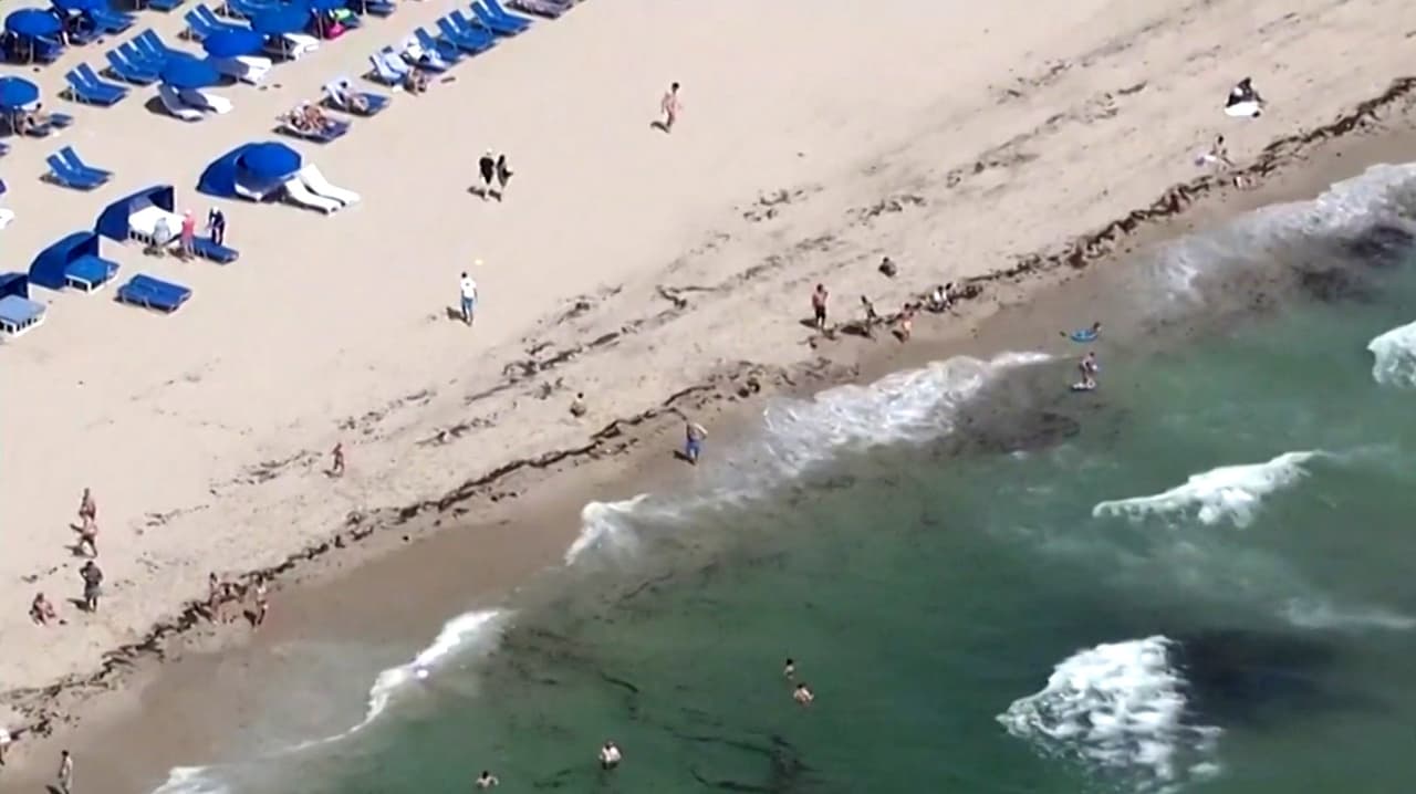 Más de 80 misiones de rescate en las playas de Hollywood y Fort Lauderdale