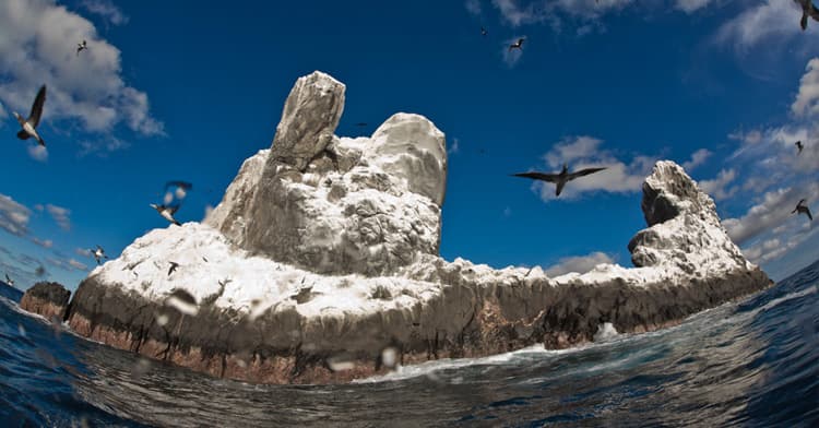 El archipiélago mexicano de Revillagigedo fue declarado Patrimonio Mundial de la Unesco
