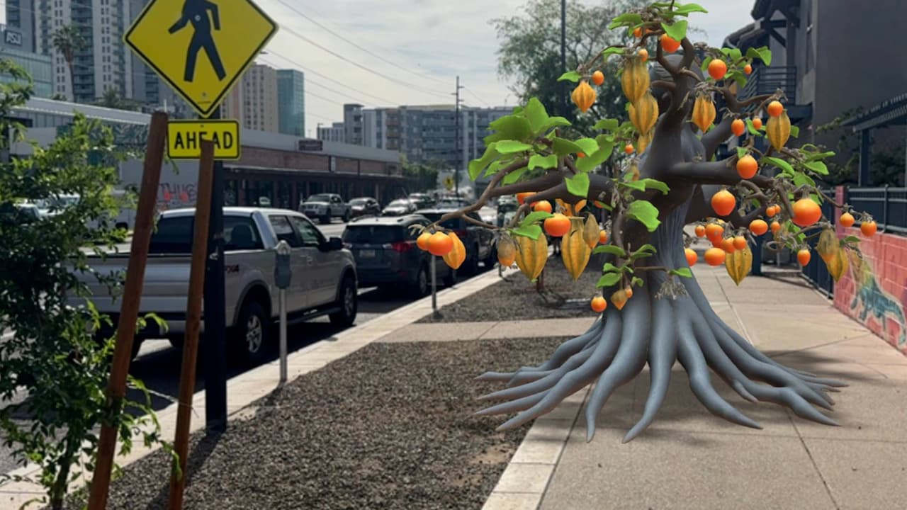 Arte e inteligencia artificial en un recorrido gratuito por las calles de Phoenix