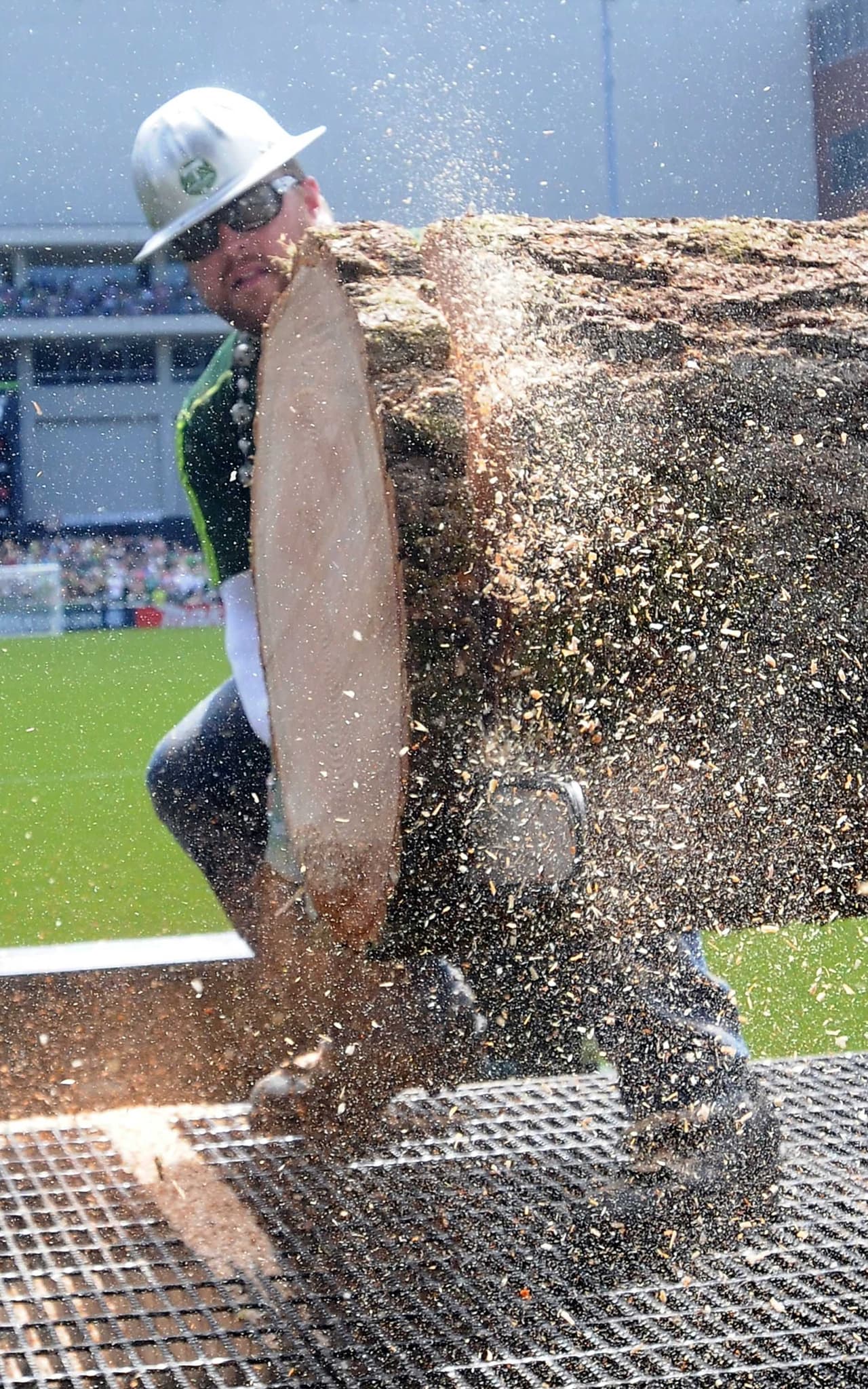 Los Timbers esperan que todo eso cambie y tengan a Timber Joey más activo durante sus partidos ante Seattle.