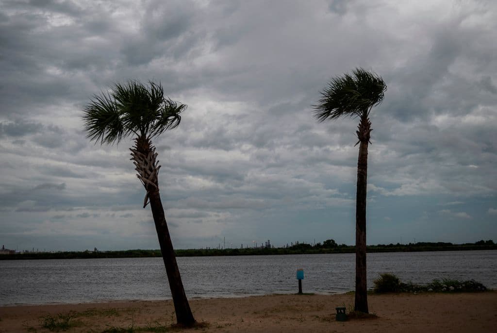 Las palmeras se balancean al soplo de los fuertes vientos causados por el huracán Laura en una playa de Lake Charles, Louisiana.