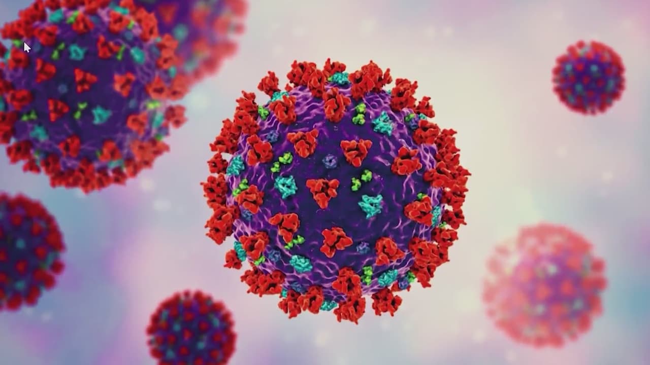 En el siguiente video una doctora de la Universidad NC State explica cómo se desarrolla la variante ómicron del covid-19 y ofrece recomendaciones para evitar su progación.