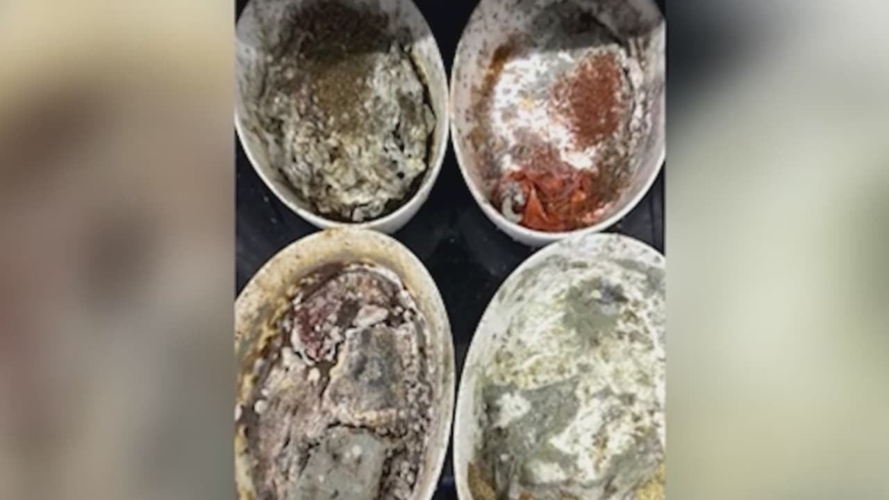 Denuncian hallazgo de gusanos, cucarachas y moho en cocina que prepara comida para aerolíneas en LAX