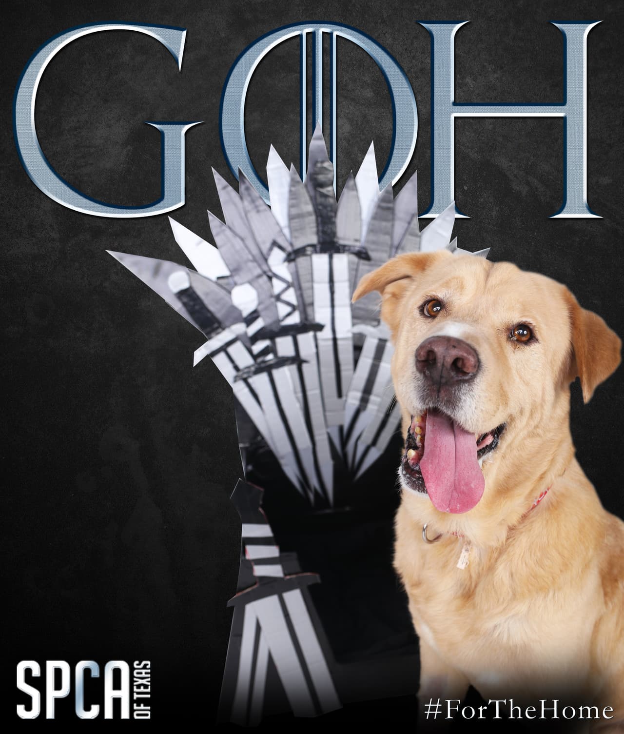 El SPCA de Texas tiene dos albergues donde uno adoptar a su nueva mascota. nuevo mejor amigo. Hay docenas de animales disponibles para adopción en los albergues. esta ubicado en la cuadra 2400 Lone Star Drive y el segundo en McKinney en la cuadra 8411 Stacy Road.