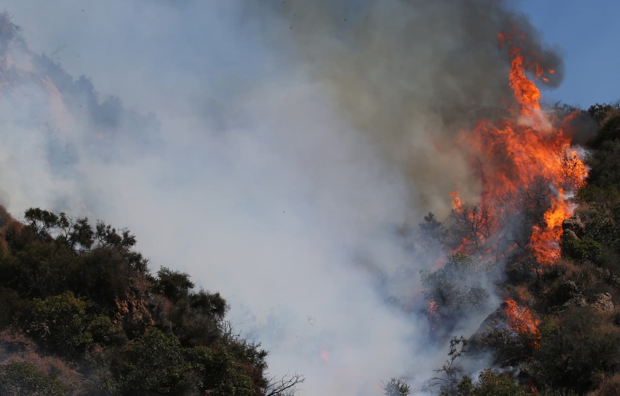 Los bomberos respondieron al siniestro alrededor de las 10:40 am del lunes (hora del Pacífico). El fuego, inicialmente reportado como de un acre de tamaño, creció a un estimado de 30 acres en menos de una hora antes de llegar a 40 acres para el mediodía, dijeron los oficiales del departamento de nomberos, citados en
<i><a href="https://www.latimes.com/california/story/2019-10-21/brush-fire-in-pacific-palisades-threatens-homes" target="_blank">Los Angeles Times</a></i>.