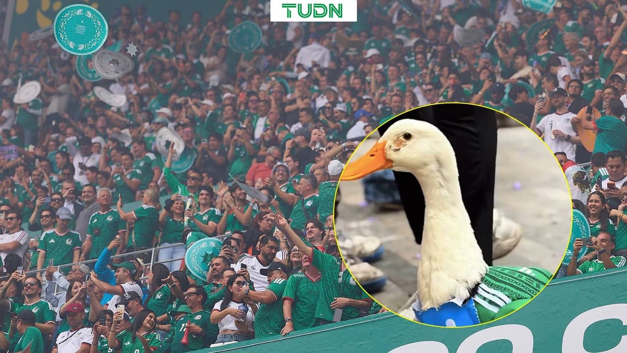 Merlín, el pato mundialista que enamoró a la afición mexicana en el Mundial 2026
